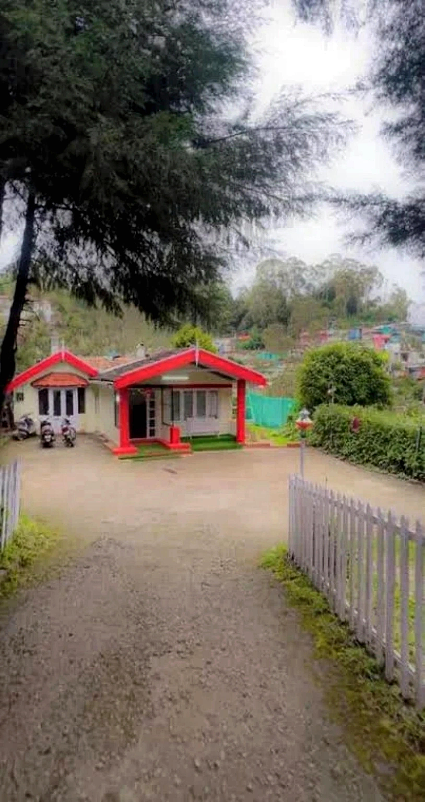Tea estate nature walks in Ooty