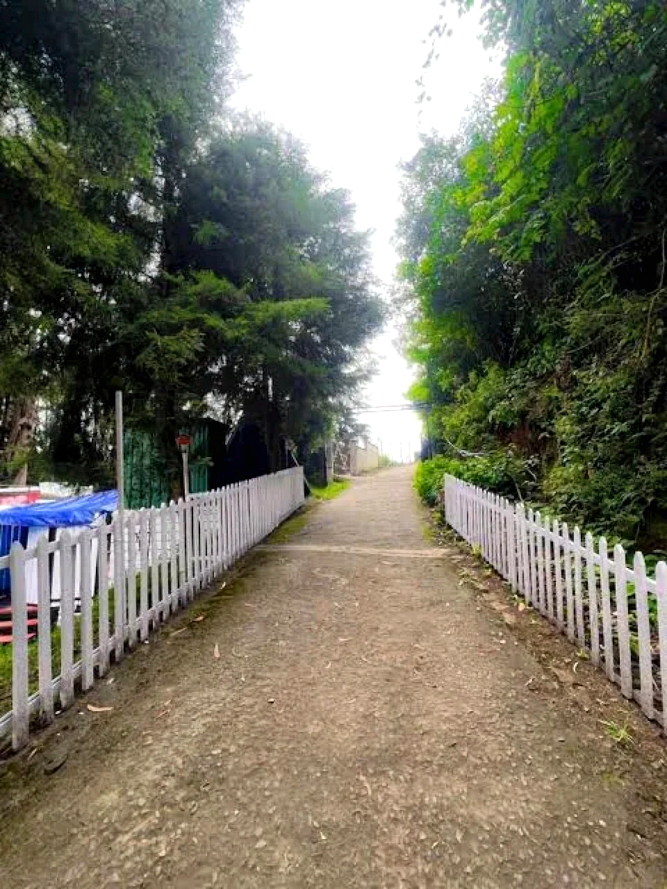 The Groot Ooty authentic property gardens and mountain landscape